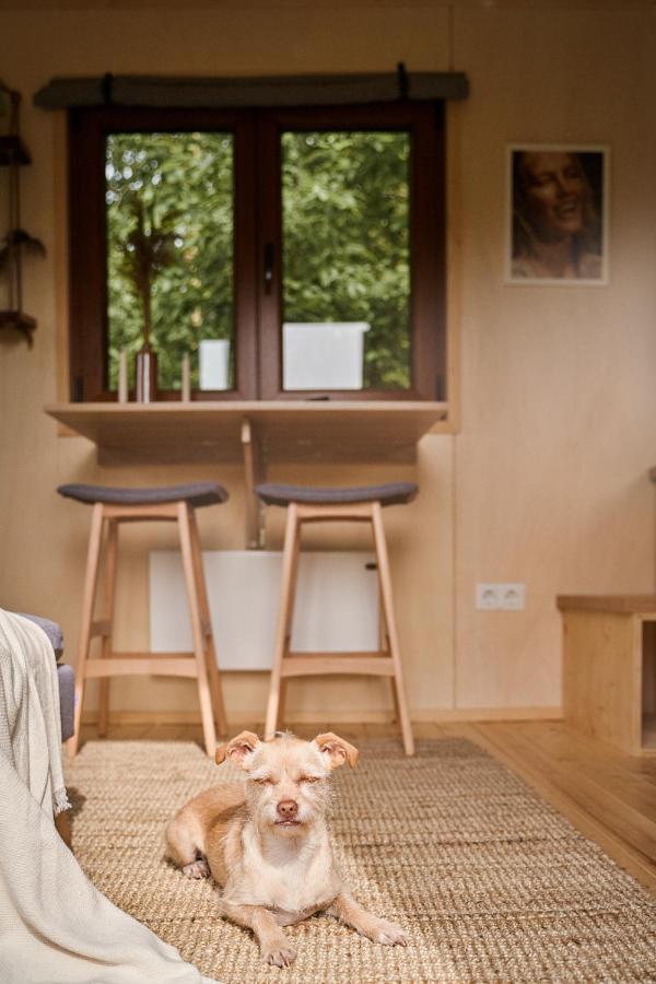 Tiny House Örebro Buitenkant foto
